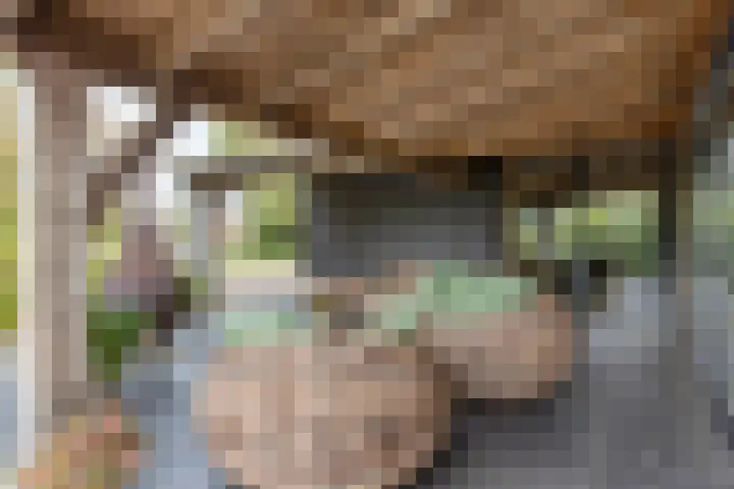 Bazeldijk 44 Meerkerk thumbnail 53