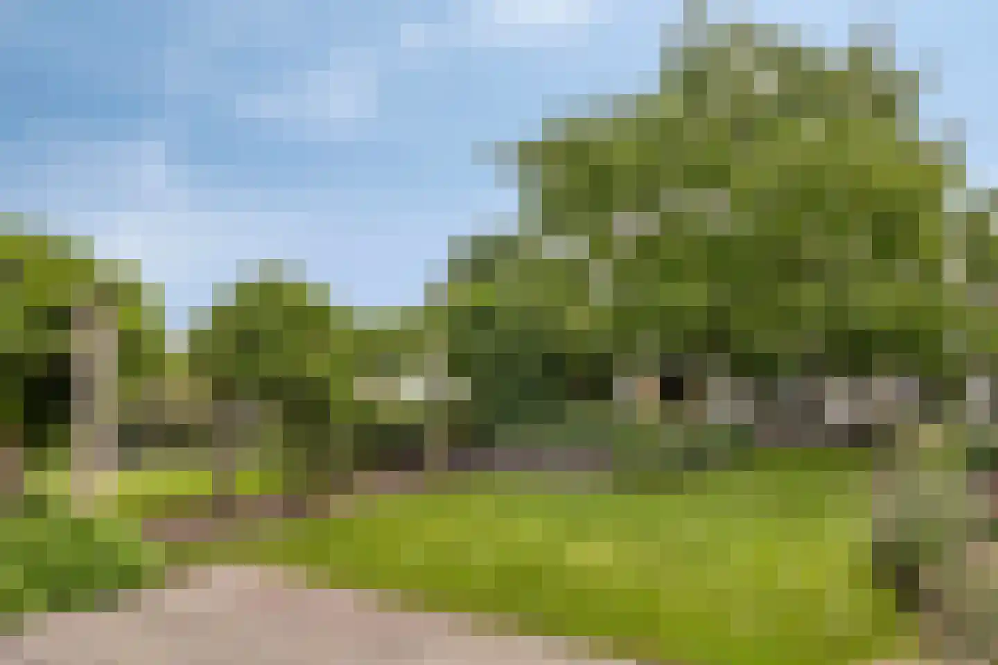Bazeldijk 44 Meerkerk thumbnail 55