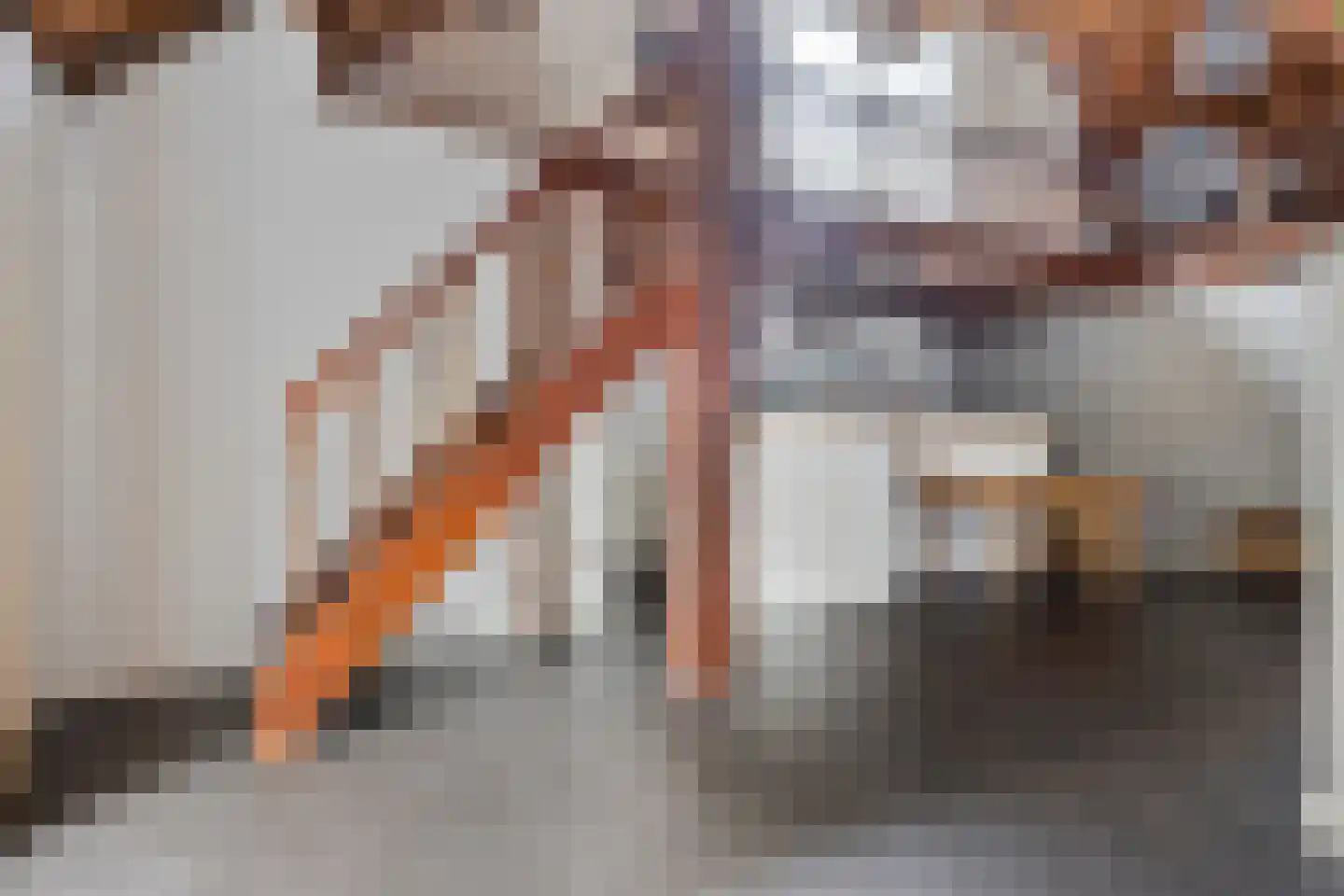 Bazeldijk 44 Meerkerk thumbnail 6