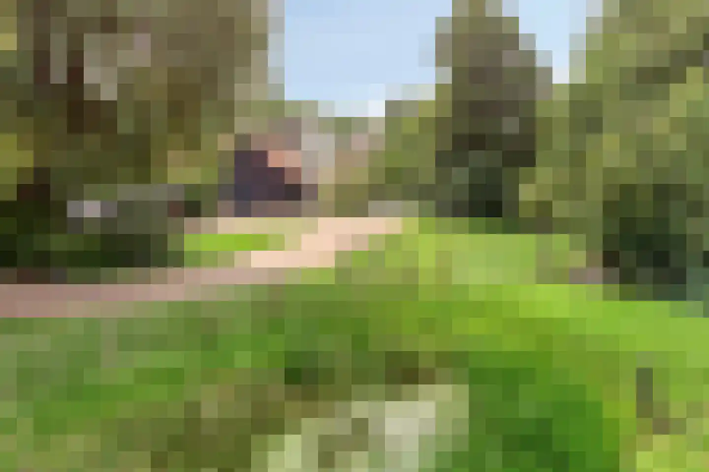 Bazeldijk 44 Meerkerk thumbnail 61