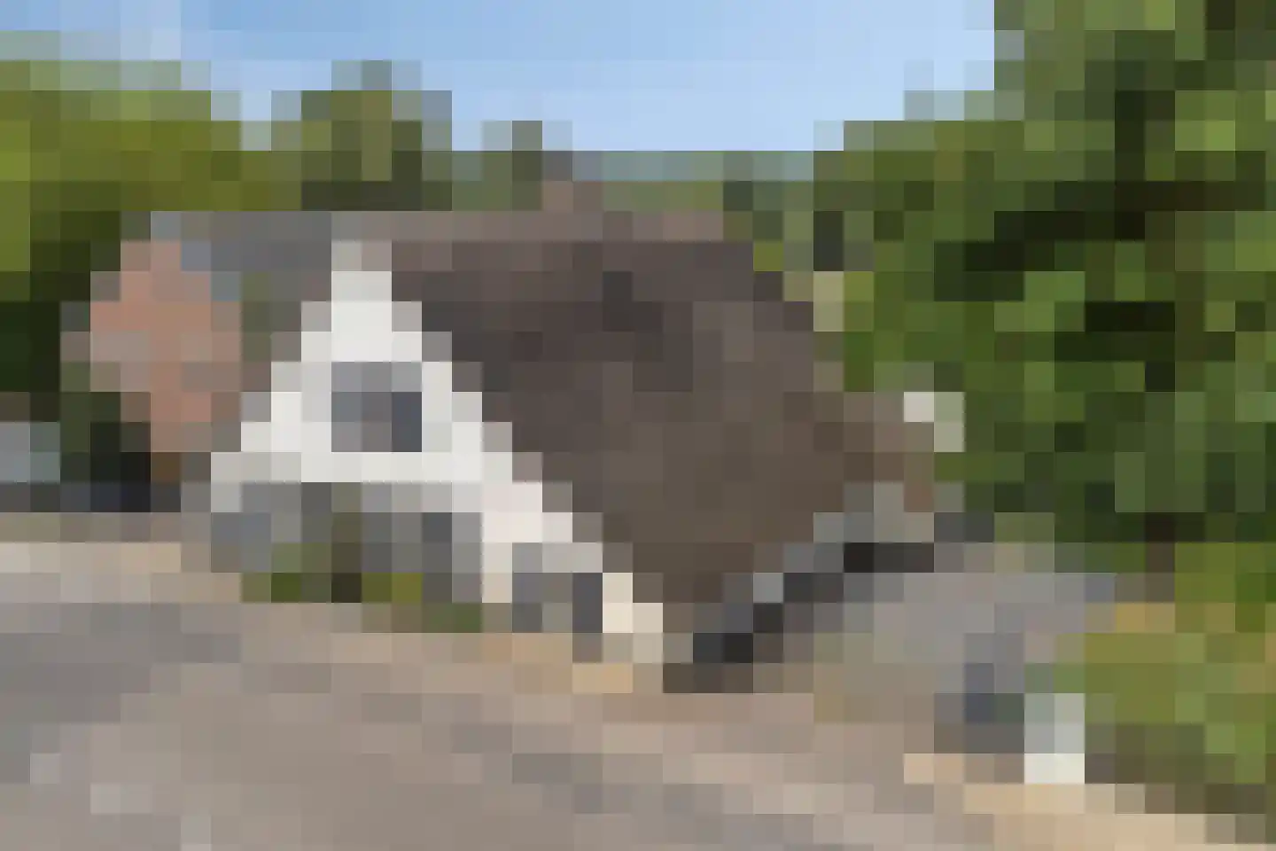Bazeldijk 44 Meerkerk thumbnail 65