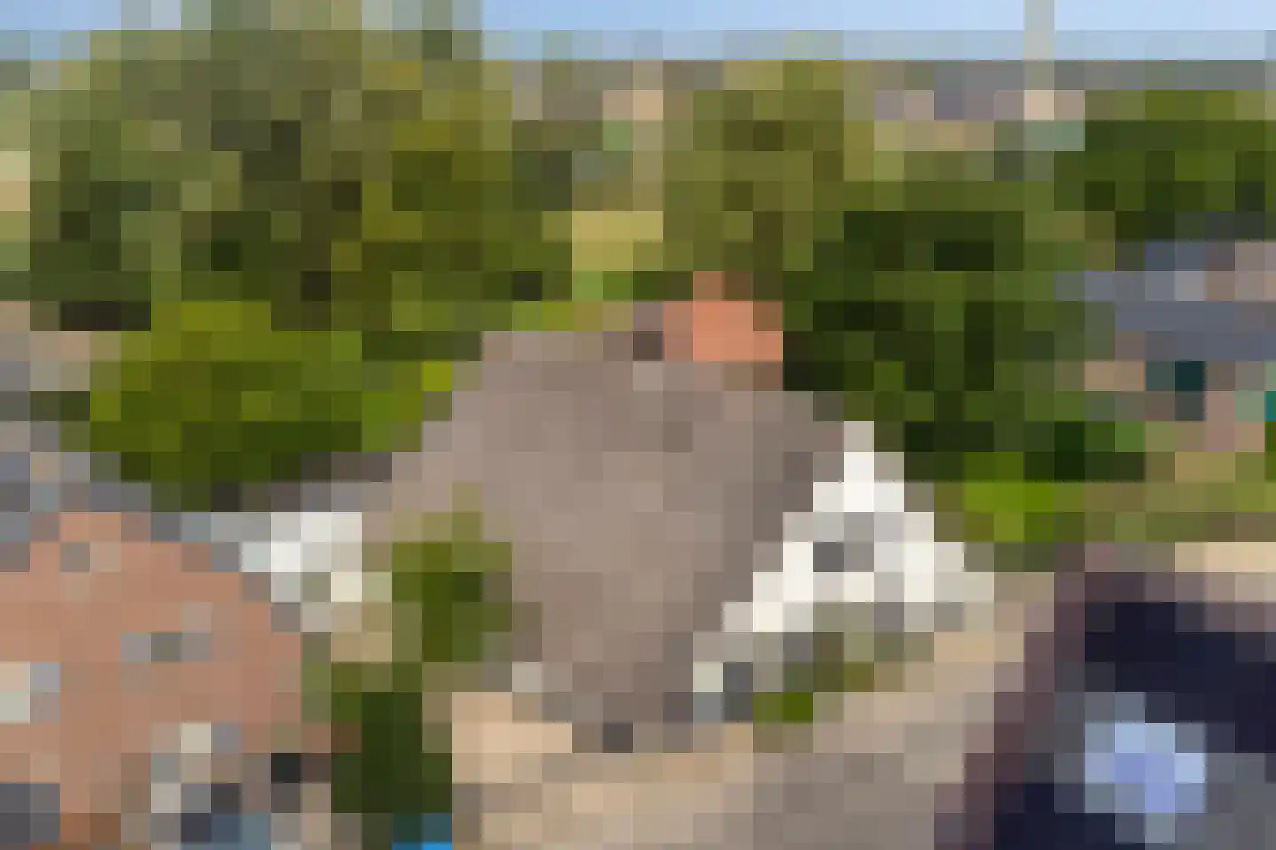 Bazeldijk 44 Meerkerk thumbnail 66
