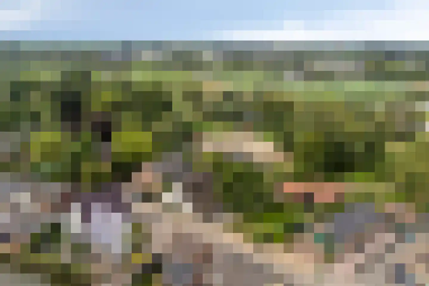 Bazeldijk 44 Meerkerk thumbnail 69