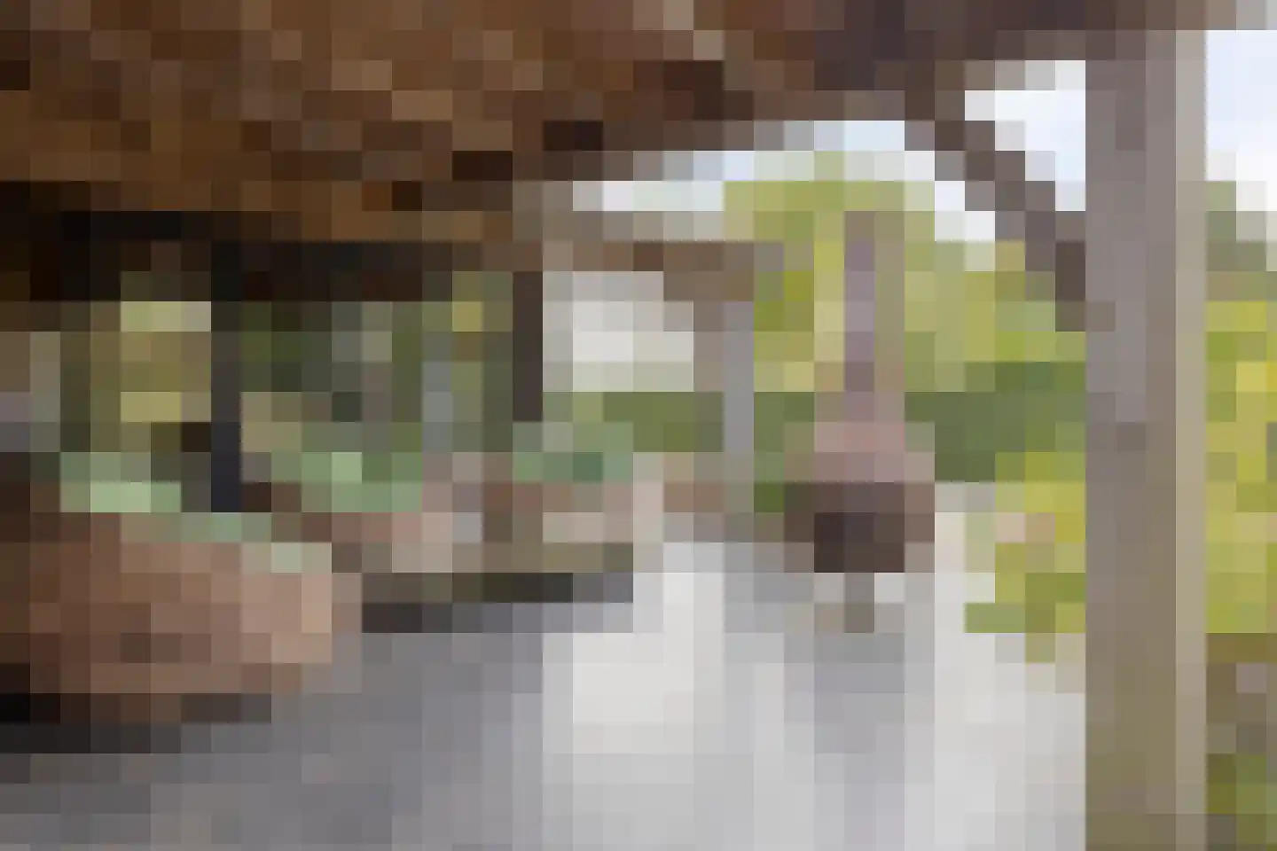 Bazeldijk 44 Meerkerk thumbnail 7