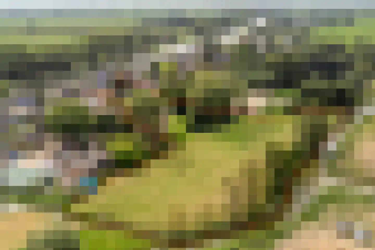 Bazeldijk 44 Meerkerk thumbnail 71