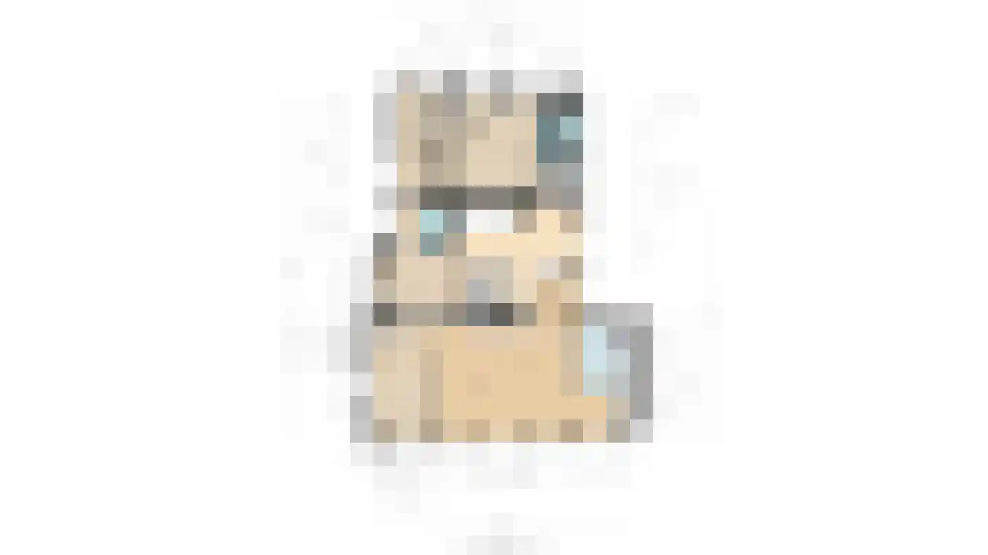 Bazeldijk 44 Meerkerk thumbnail 73
