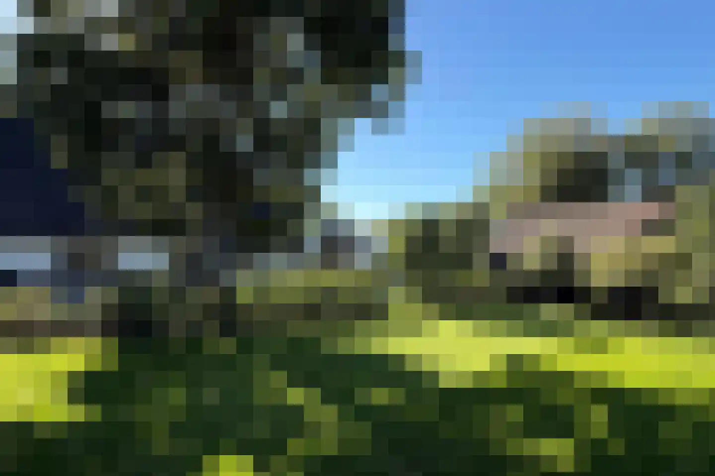 Bazeldijk 44 Meerkerk thumbnail 8