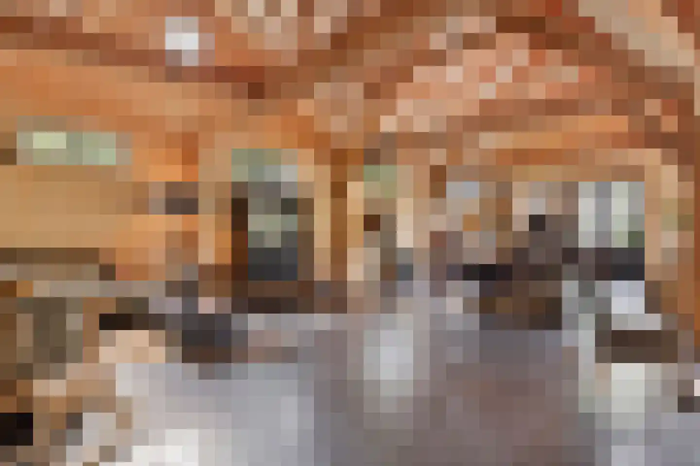Bazeldijk 44 Meerkerk thumbnail 9