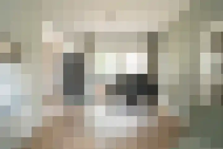 Bazeldijk 57 Hoogblokland thumbnail 12