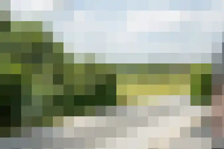 Bazeldijk 57 Hoogblokland thumbnail 27