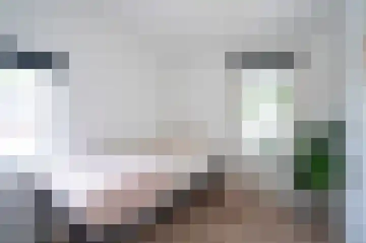 Bazeldijk 57 Hoogblokland thumbnail 31