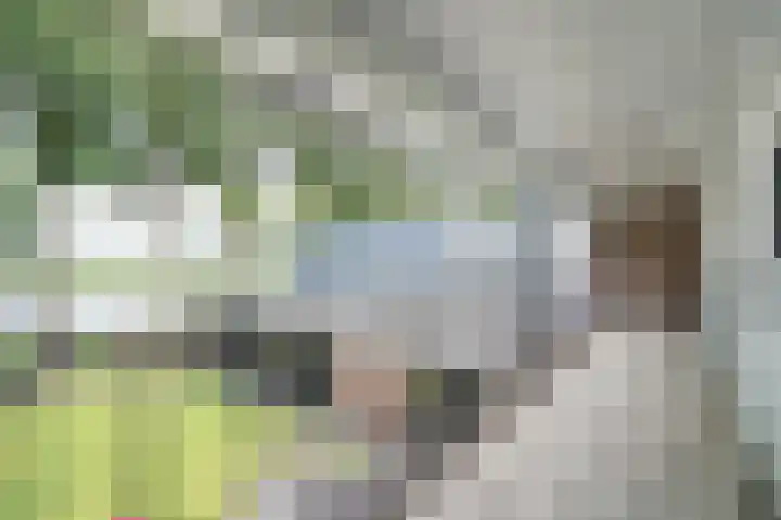 Bazeldijk 57 Hoogblokland thumbnail 32