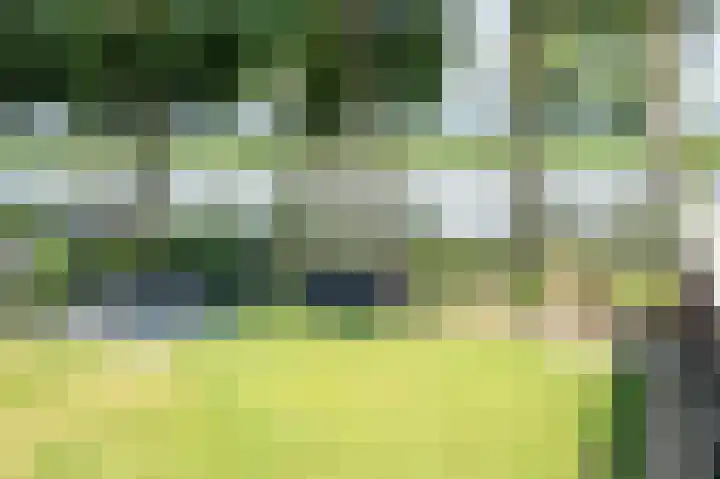 Bazeldijk 57 Hoogblokland thumbnail 33