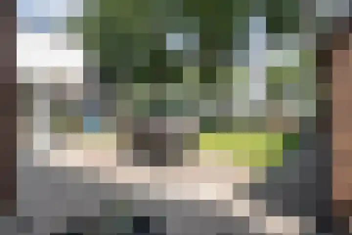 Bazeldijk 57 Hoogblokland thumbnail 38