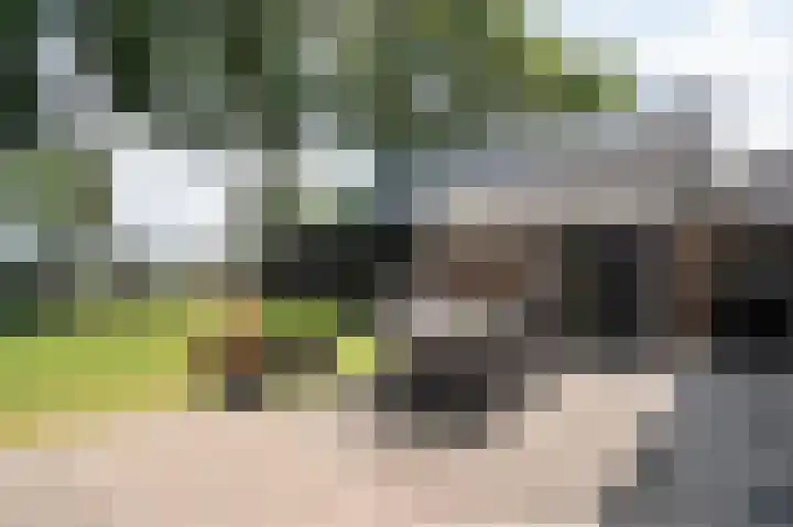 Bazeldijk 57 Hoogblokland thumbnail 39