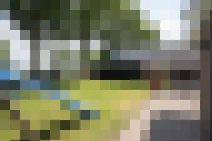 Bazeldijk 57 Hoogblokland thumbnail 40