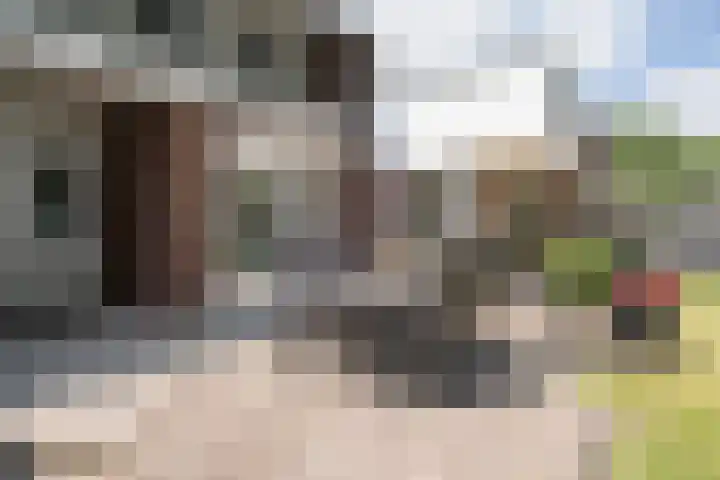 Bazeldijk 57 Hoogblokland thumbnail 41