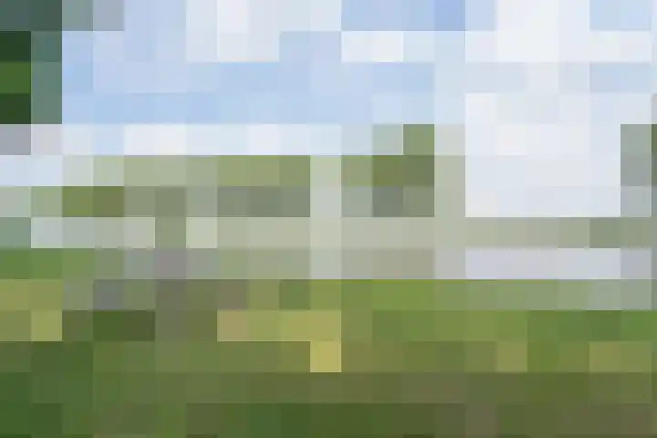 Bazeldijk 57 Hoogblokland thumbnail 44