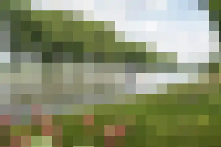 Bazeldijk 57 Hoogblokland thumbnail 46