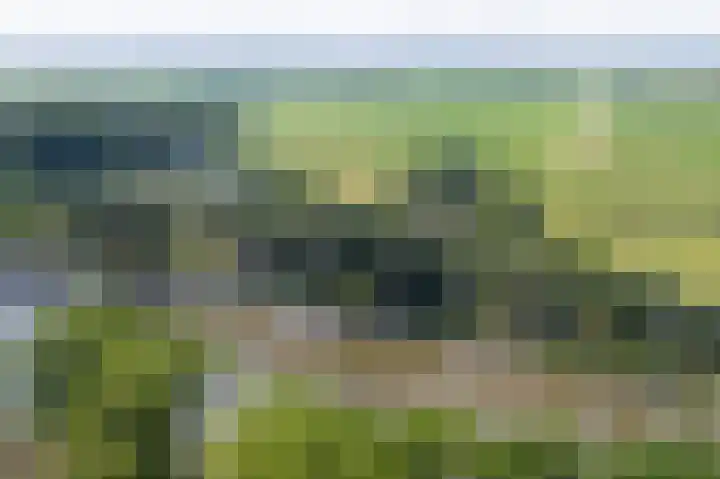 Bazeldijk 57 Hoogblokland thumbnail 47