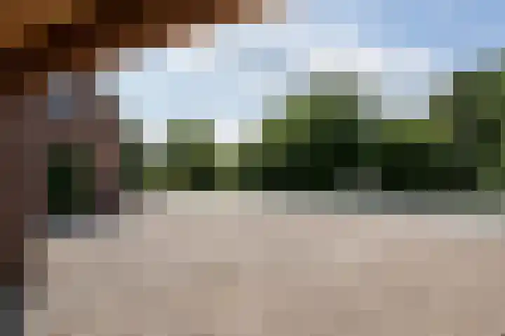 Bazeldijk 57 Hoogblokland thumbnail 48