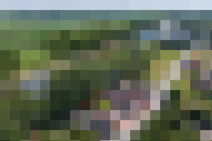 Bazeldijk 57 Hoogblokland thumbnail 5