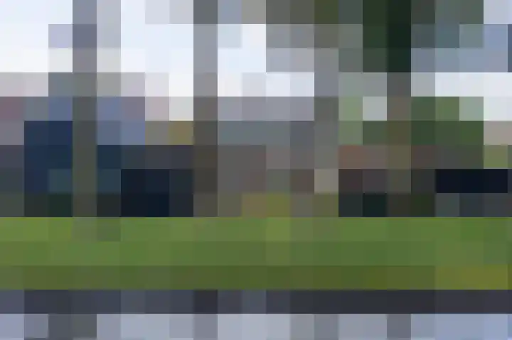 Bazeldijk 57 Hoogblokland thumbnail 7