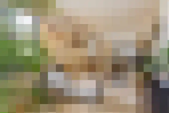 Bazeldijk 58 Hoogblokland thumbnail 17
