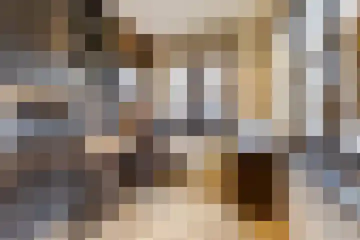 Bazeldijk 58 Hoogblokland thumbnail 18