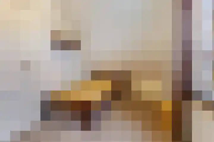 Bazeldijk 58 Hoogblokland thumbnail 31