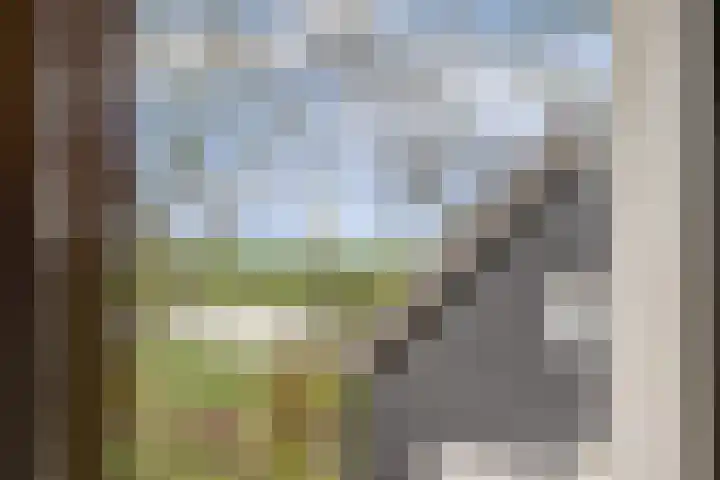 Bazeldijk 58 Hoogblokland thumbnail 34