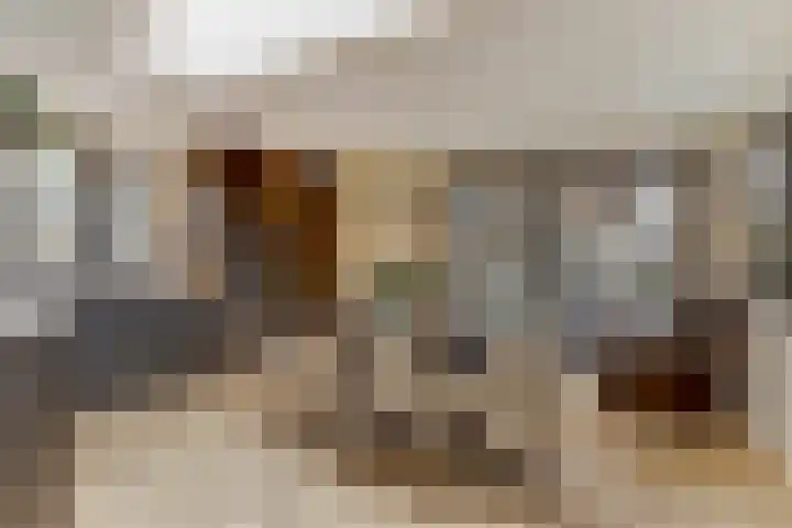 Bazeldijk 58 Hoogblokland thumbnail 4