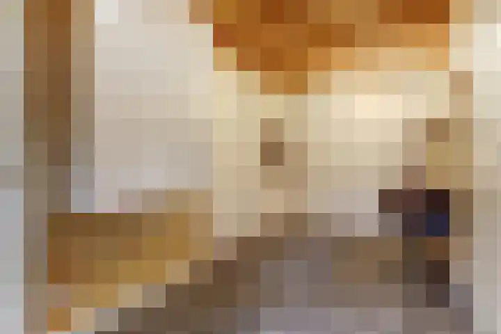 Bazeldijk 58 Hoogblokland thumbnail 41
