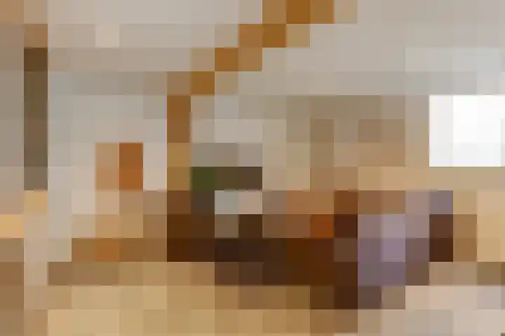 Bazeldijk 58 Hoogblokland thumbnail 47