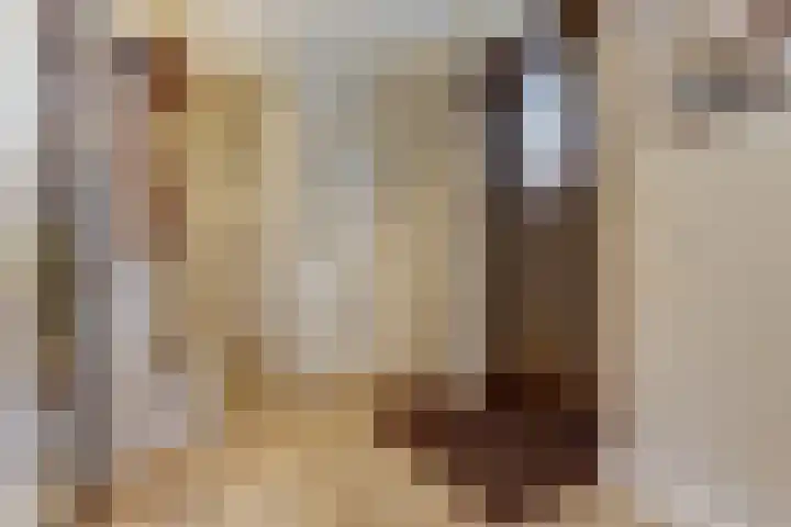 Bazeldijk 58 Hoogblokland thumbnail 6