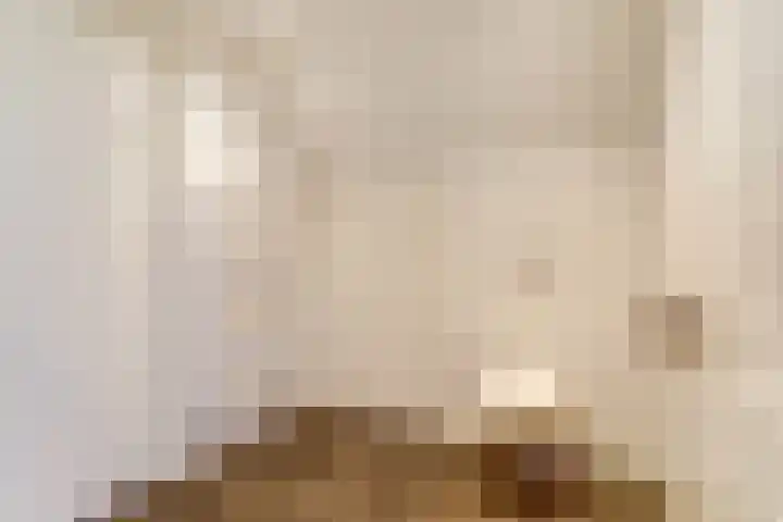 Bazeldijk 58 Hoogblokland thumbnail 62