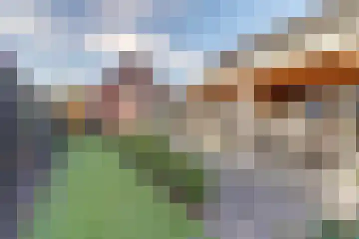 Bazeldijk 58 Hoogblokland thumbnail 64