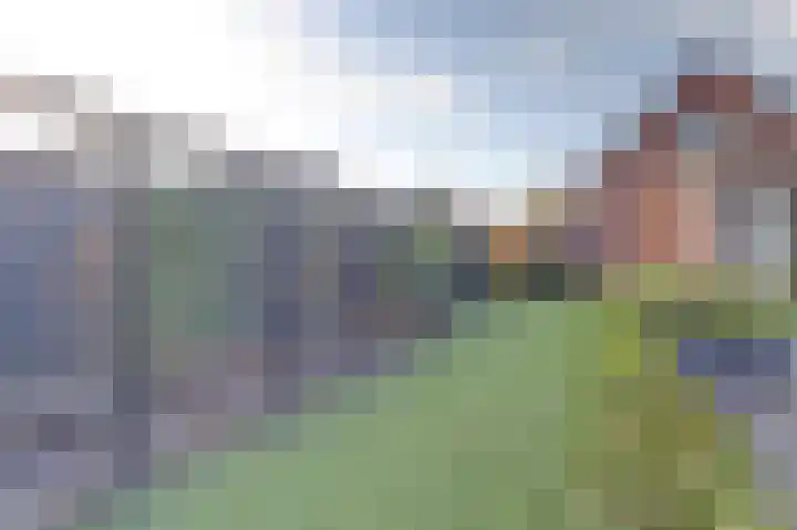 Bazeldijk 58 Hoogblokland thumbnail 65