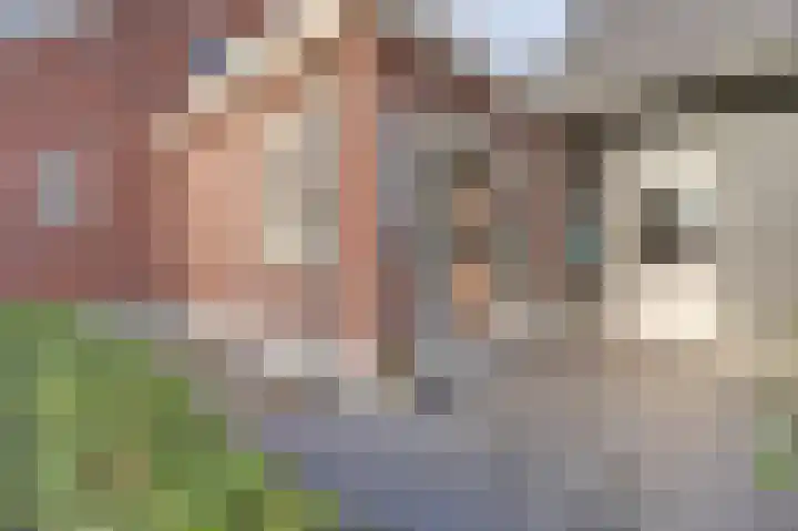 Bazeldijk 58 Hoogblokland thumbnail 68