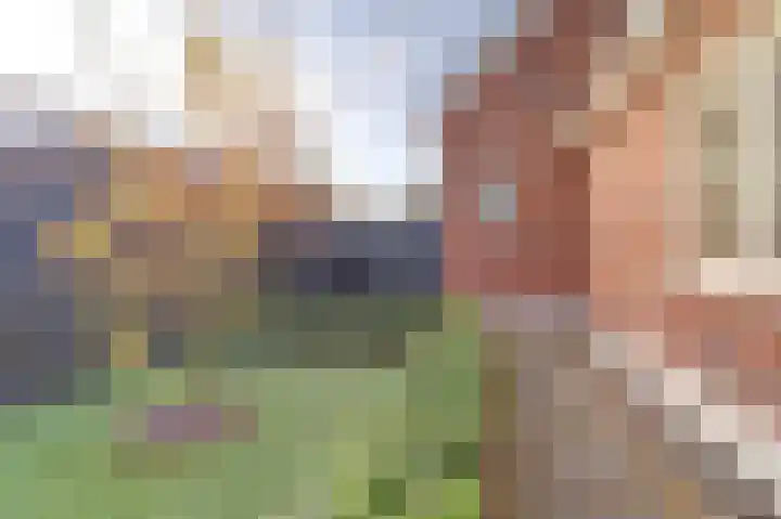 Bazeldijk 58 Hoogblokland thumbnail 69
