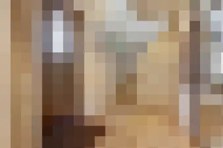 Bazeldijk 58 Hoogblokland thumbnail 7