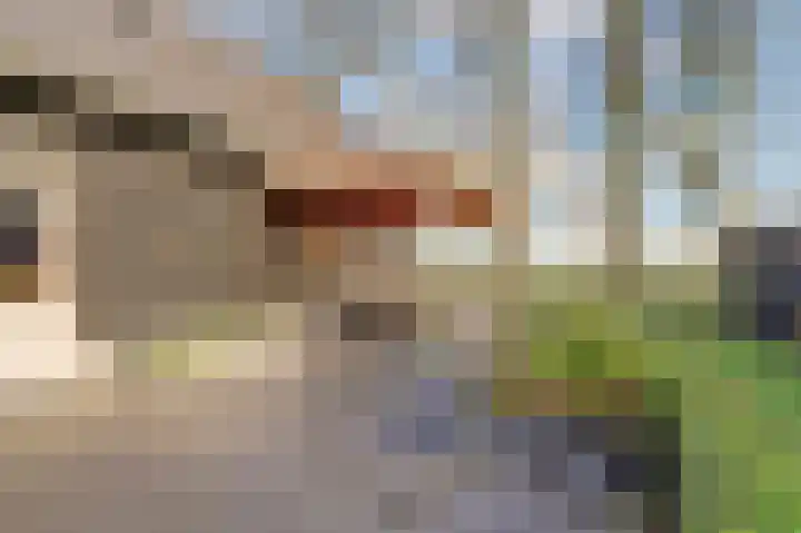Bazeldijk 58 Hoogblokland thumbnail 70