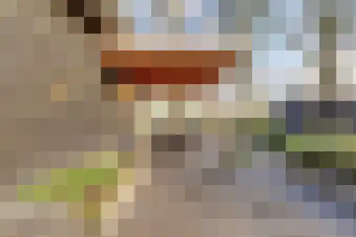 Bazeldijk 58 Hoogblokland thumbnail 71