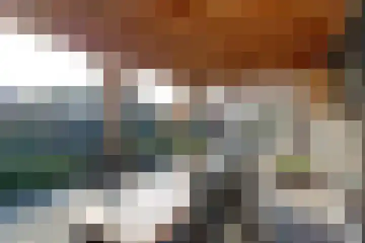 Bazeldijk 58 Hoogblokland thumbnail 72