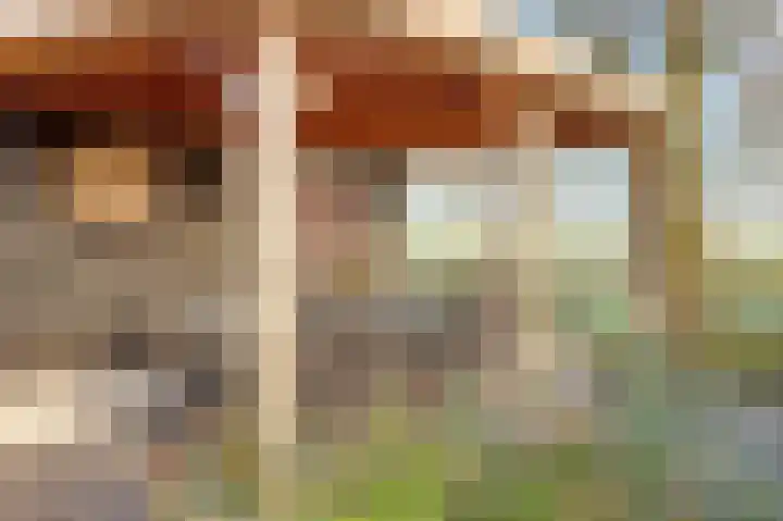 Bazeldijk 58 Hoogblokland thumbnail 74