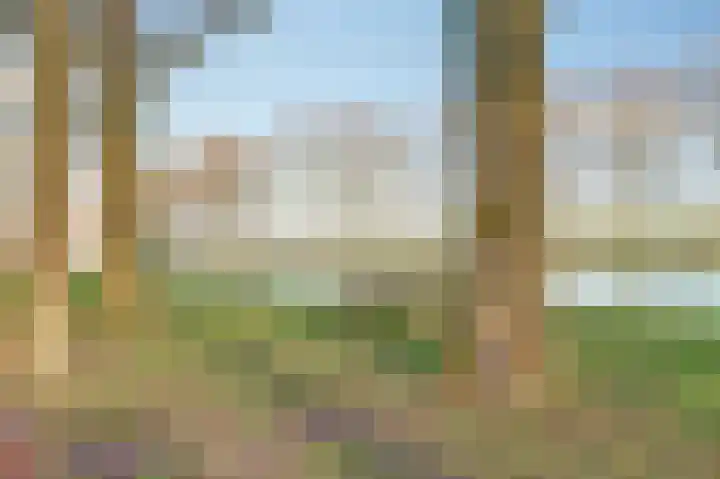 Bazeldijk 58 Hoogblokland thumbnail 76