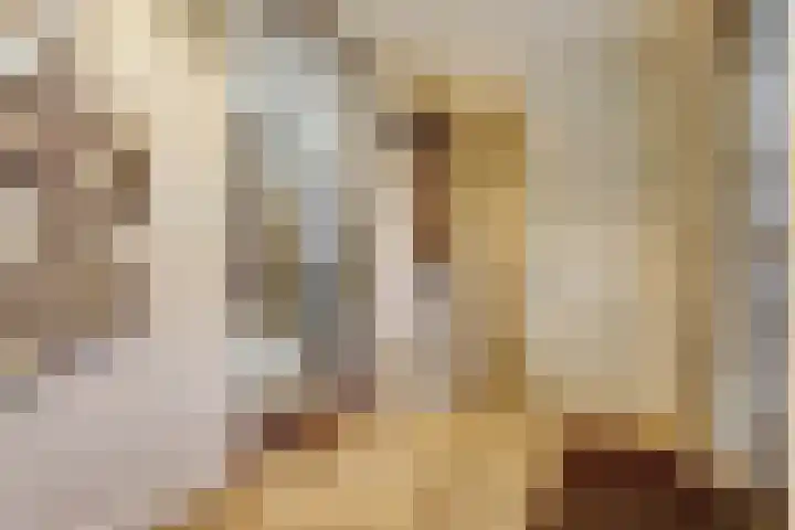 Bazeldijk 58 Hoogblokland thumbnail 8