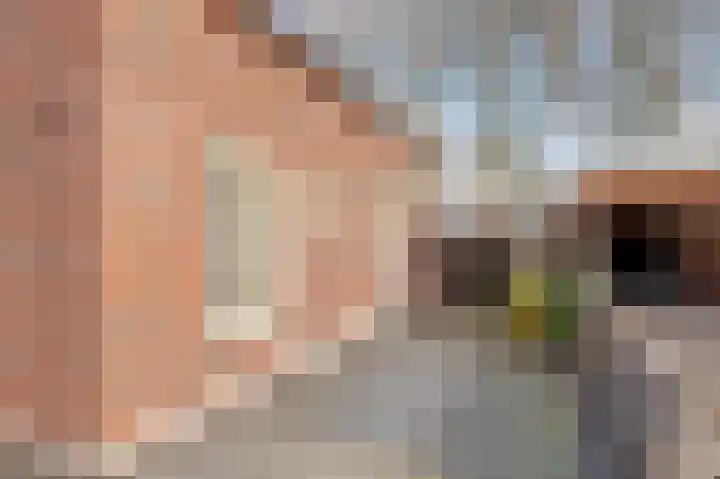 Bazeldijk 58 Hoogblokland thumbnail 82