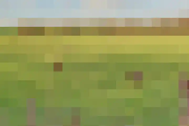 Bazeldijk 58 Hoogblokland thumbnail 84