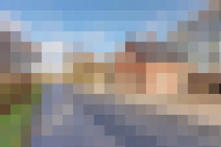 Bazeldijk 58 Hoogblokland thumbnail 86
